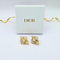 Christian Dior Clip Earrings
