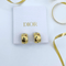 Dior Multicolor Crystals Clip Earrings
