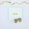 Christian Dior Clip Earrings
