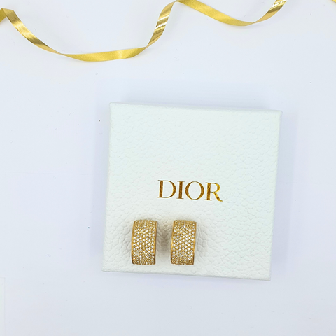 Christian Dior Clip Earrings