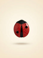 Vintage Lea Stein Ladybird Brooch in Rhodoid – detail view