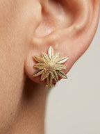 Edelweiss Crystal Earrings