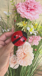 Lea Stein Lieveheersbeestje Broche in Rhodoid