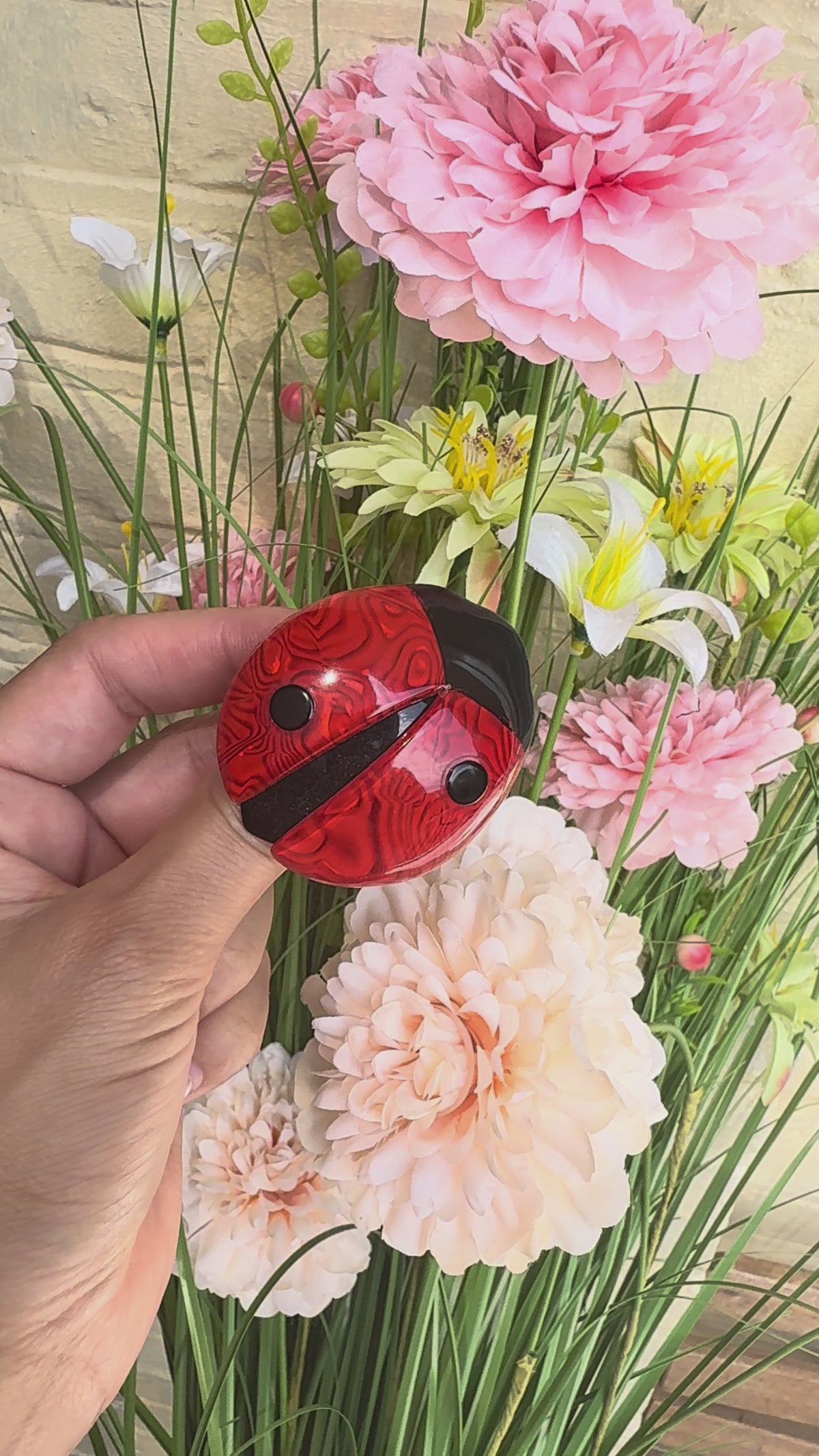 Lea Stein Ladybird Brooch in Rhodoid