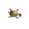 Schildpad Broche