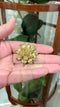 Vintage Marcel Boucher Flower Brooch