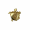 Schildpad Broche