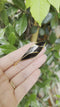 Vintage Orena Paris Blad Broche