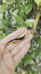 Vintage Orena Paris Vogel Broche