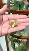 Bloem Broche