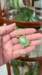Schildpad Broche