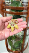 Coro Aardbeien broche